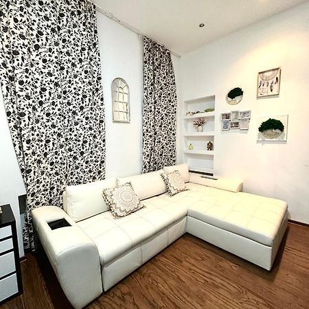 Harmony Homes- Piata Unirii Central Apartament 蒂米什瓦拉 外观 照片
