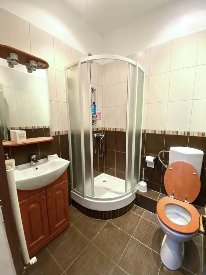 Harmony Homes- Piata Unirii Central Apartament 蒂米什瓦拉 外观 照片