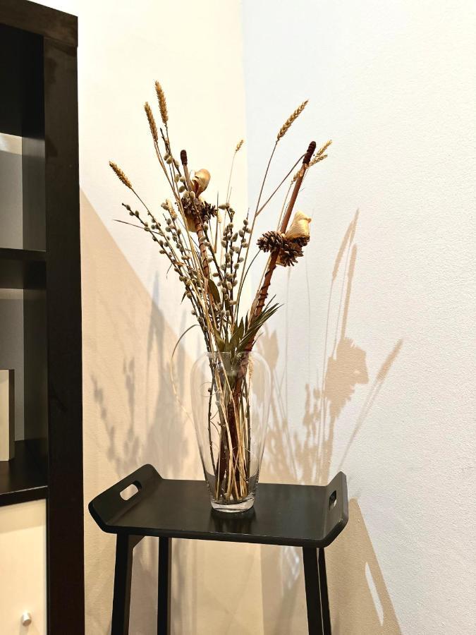 Harmony Homes- Piata Unirii Central Apartament 蒂米什瓦拉 外观 照片