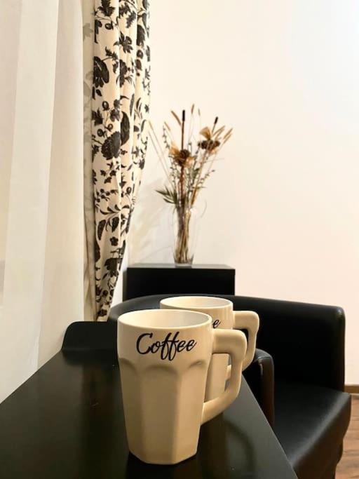 Harmony Homes- Piata Unirii Central Apartament 蒂米什瓦拉 外观 照片