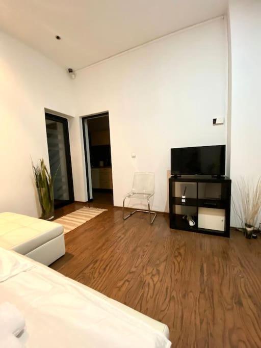 Harmony Homes- Piata Unirii Central Apartament 蒂米什瓦拉 外观 照片