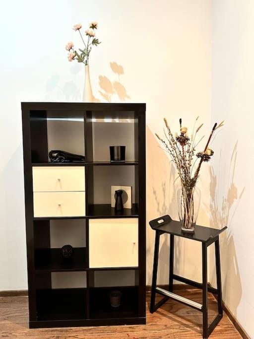 Harmony Homes- Piata Unirii Central Apartament 蒂米什瓦拉 外观 照片