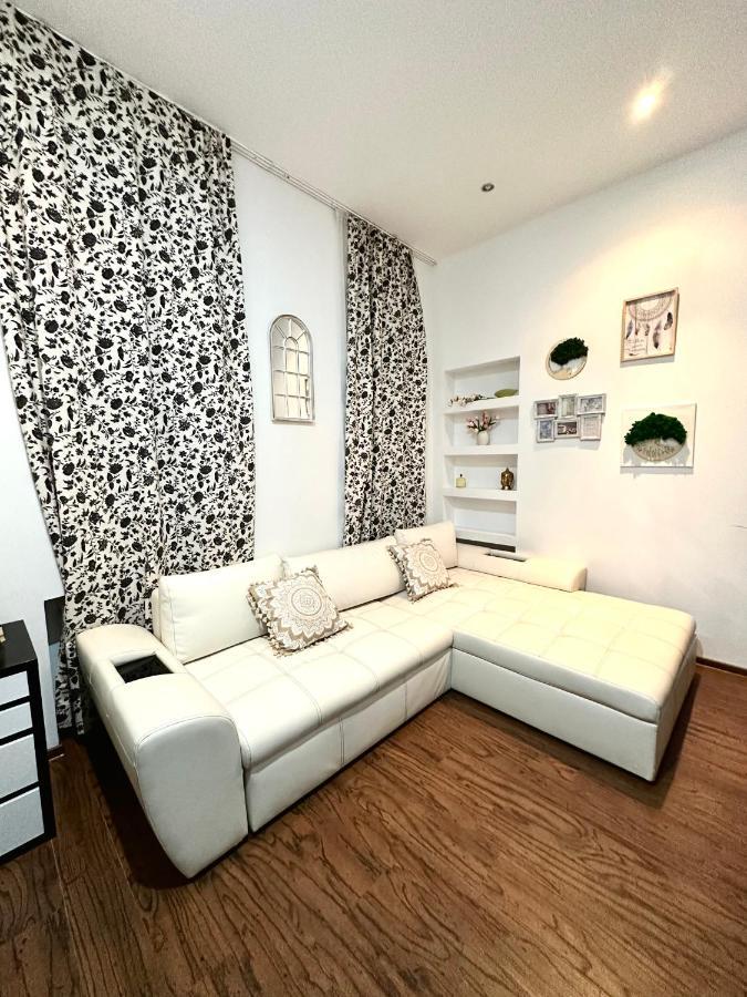Harmony Homes- Piata Unirii Central Apartament 蒂米什瓦拉 外观 照片