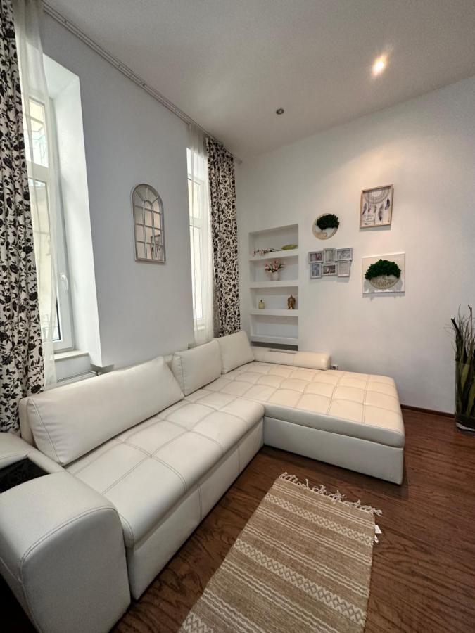 Harmony Homes- Piata Unirii Central Apartament 蒂米什瓦拉 外观 照片