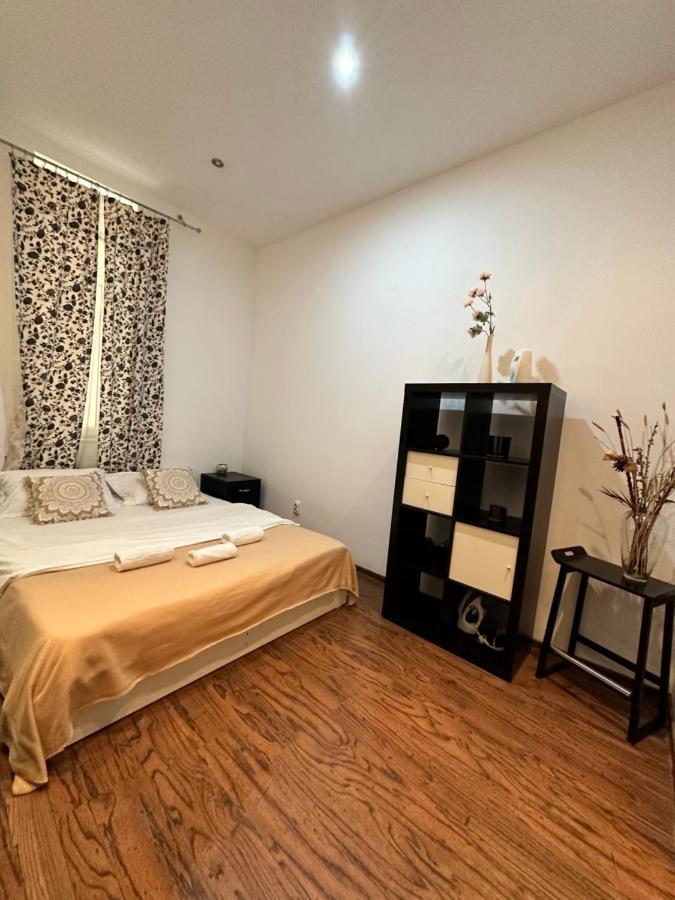 Harmony Homes- Piata Unirii Central Apartament 蒂米什瓦拉 外观 照片