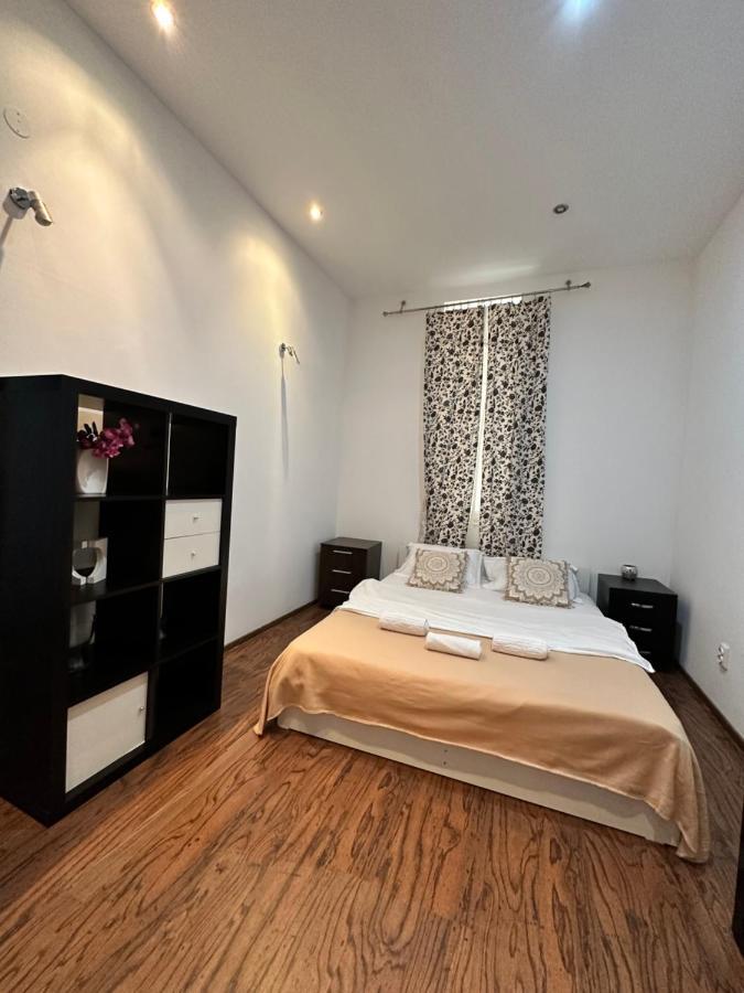 Harmony Homes- Piata Unirii Central Apartament 蒂米什瓦拉 外观 照片