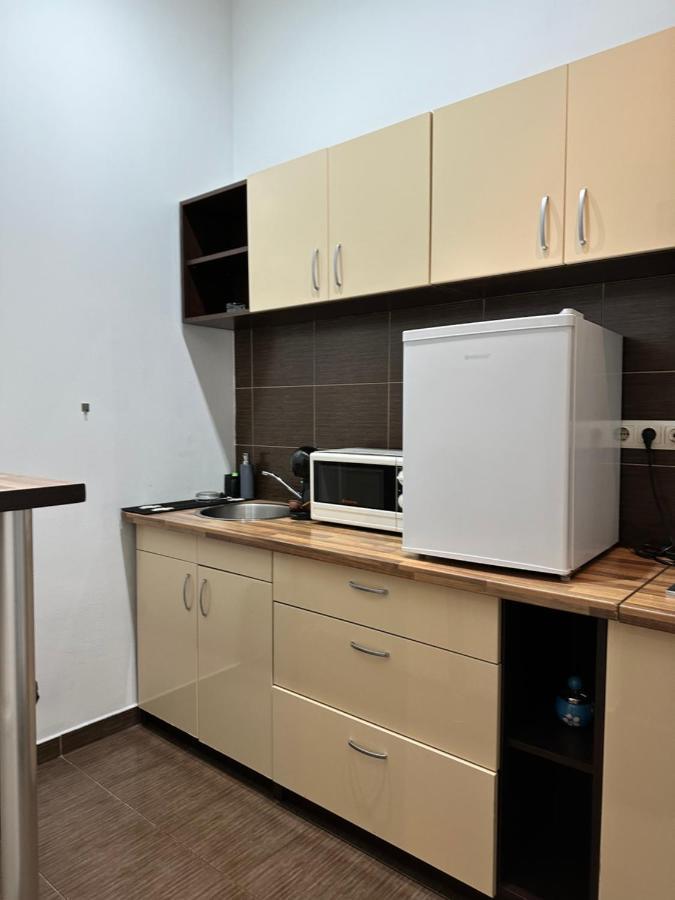 Harmony Homes- Piata Unirii Central Apartament 蒂米什瓦拉 外观 照片